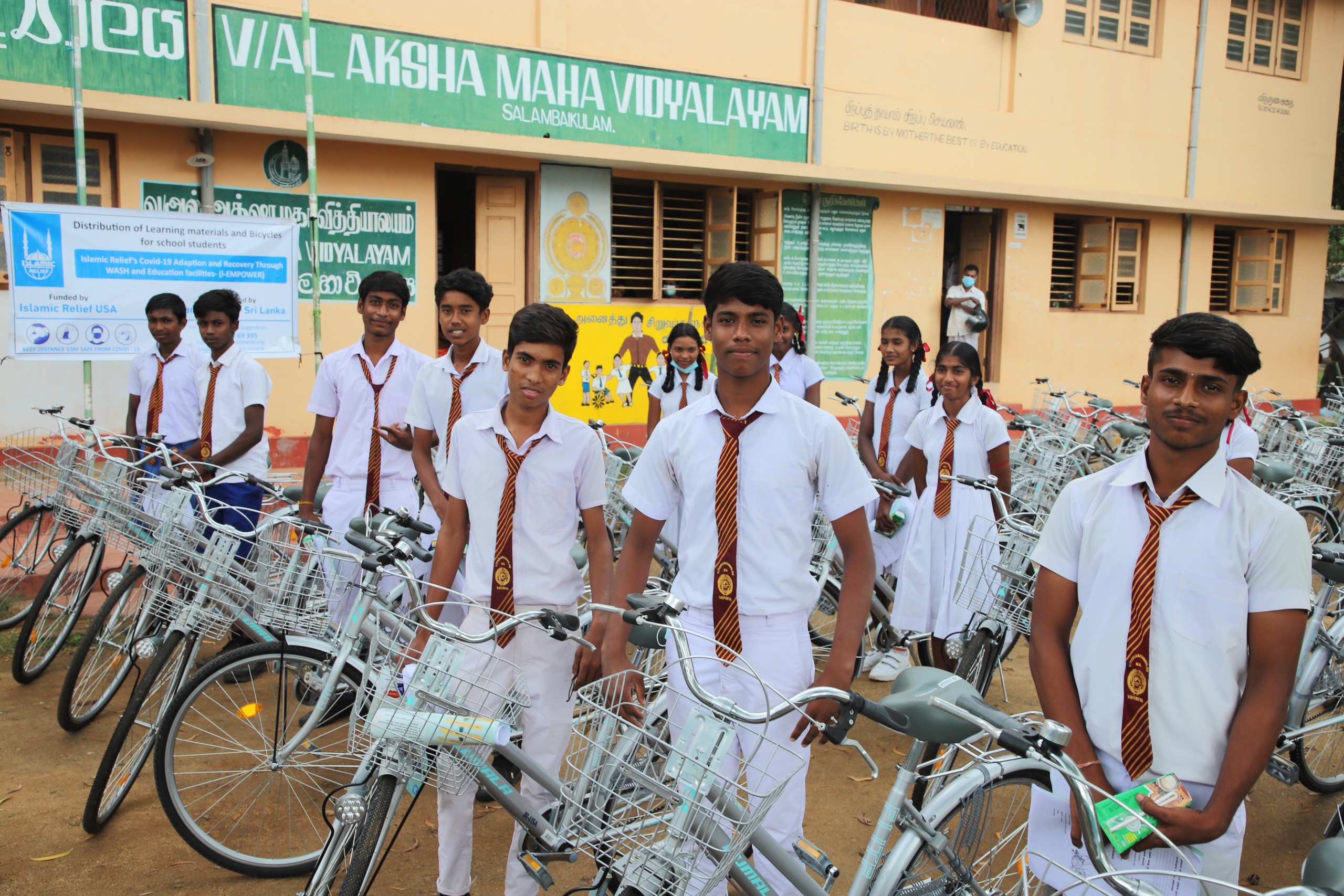 Building with trees 3